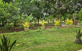 Ceylon Resort Wilpattu